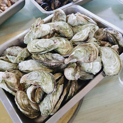 freehd18安全保障